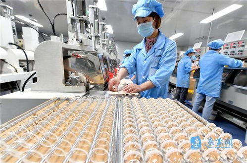 小工廠里高科技 技術(shù)服務(wù)顯大作為